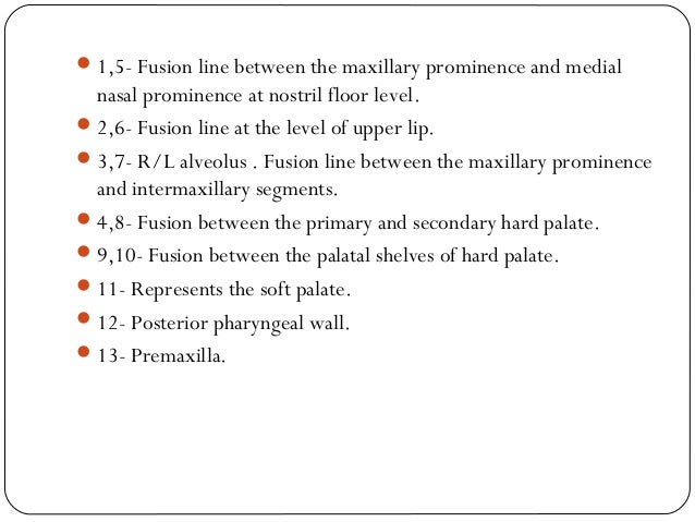 a cleft palate is an example of which etiological classification