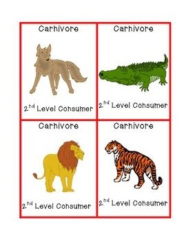describe an example of a competition between two carnivores
