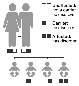 an example of a genetic disorder