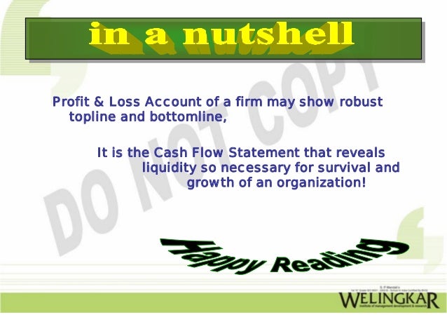 cash flow statement example net loss