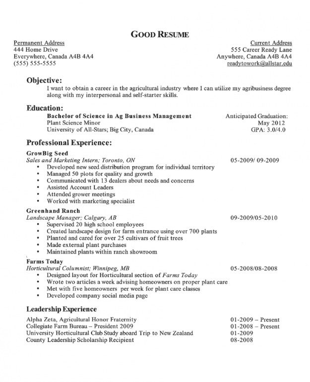 example-career-goals-for-resume