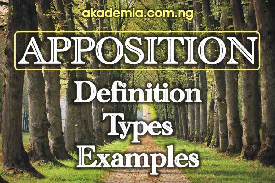 what is an example of an appositive
