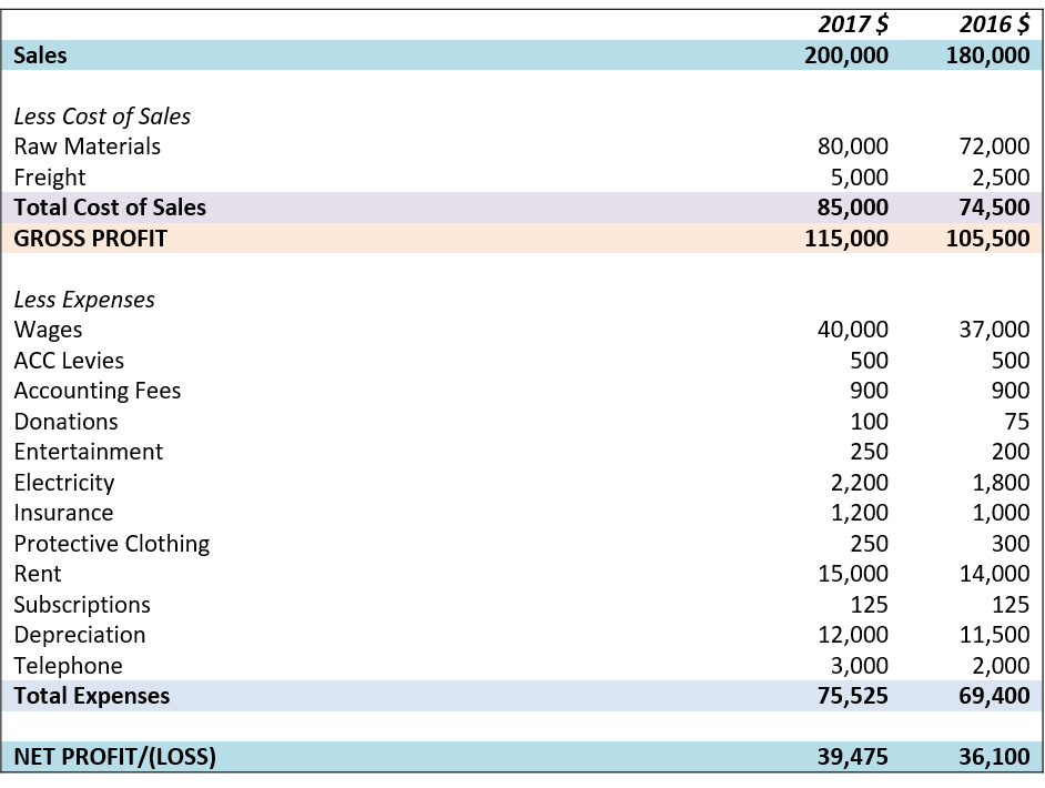 profit and loss statement example nz