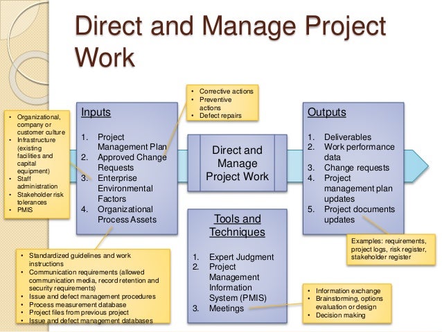 example of inputs in a project plan