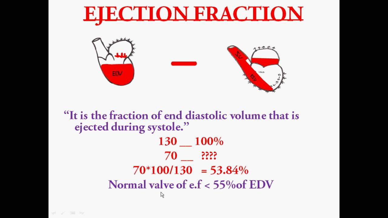 stroke volume calculator