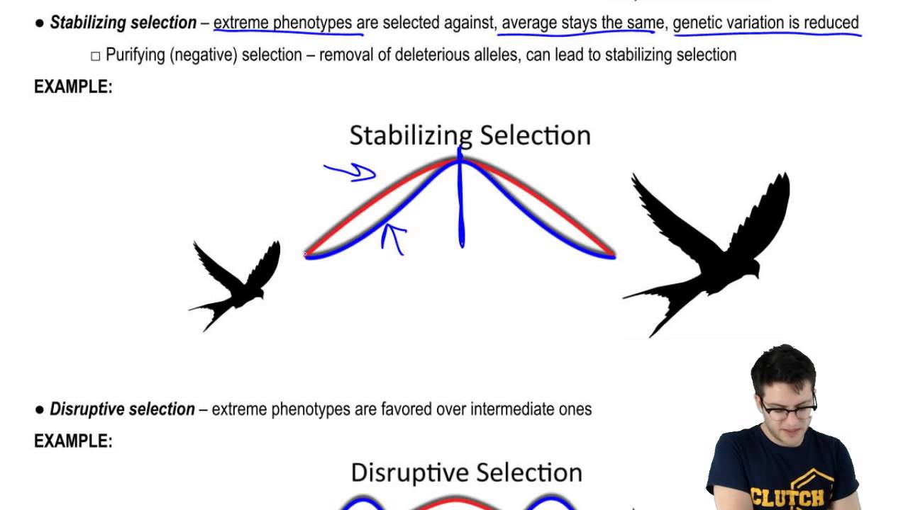 example of directional natural selection