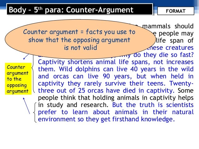 counter argument persuasive essay example