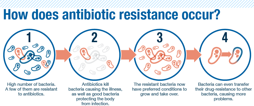 what is an example of bacterial resistance