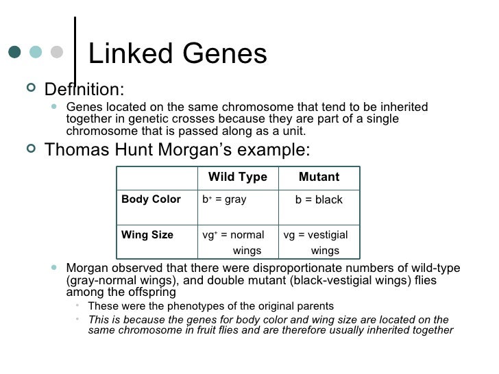 dominant gene definition and example