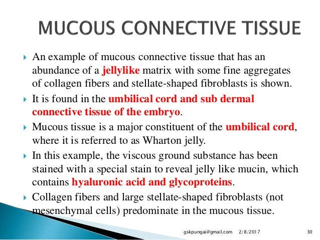 an example of connective tissue