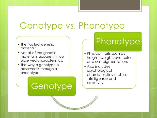 example of genotype in humans