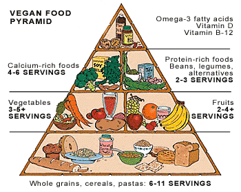 example of well balanced vegan diet