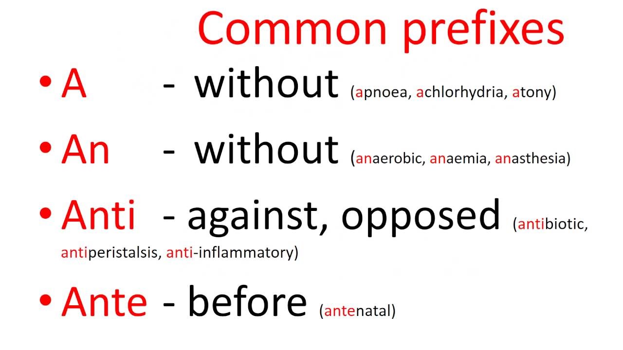pre meaning in medical term example