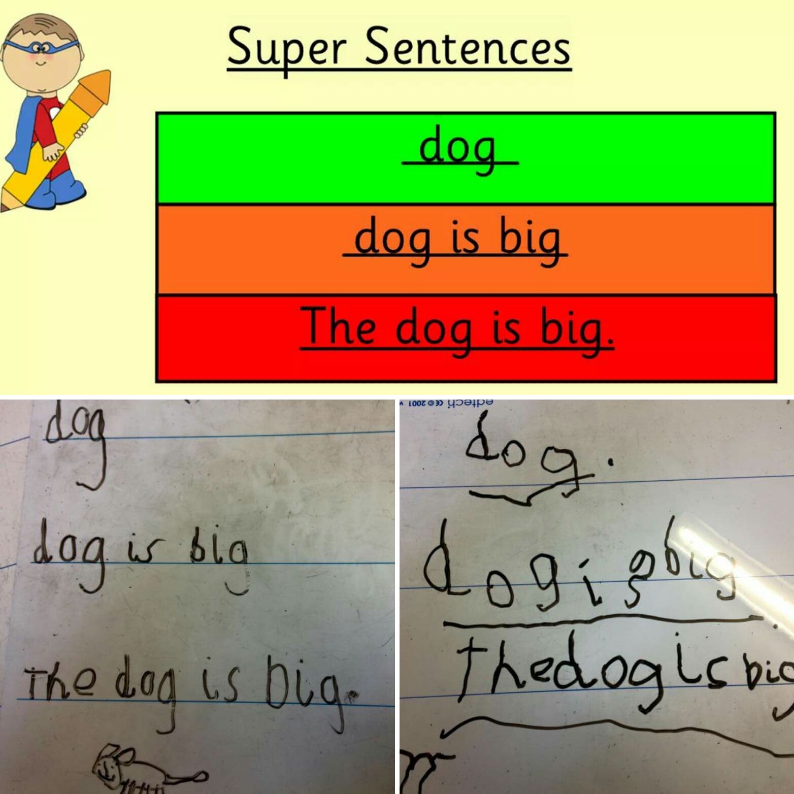 word of the day and example sentence