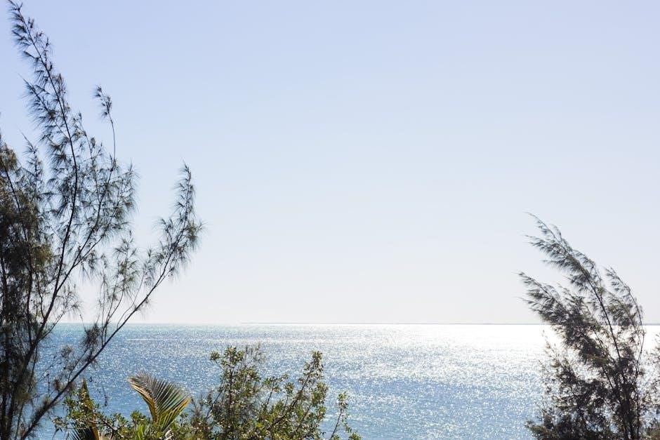 guide sur l’externalisation it à madagascar