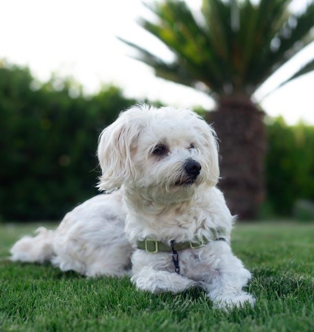 puppy george saunders pdf