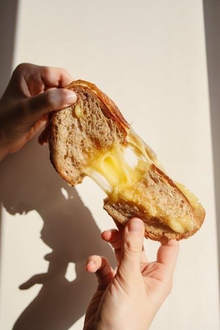 jimmy dean breakfast sandwich instructions air fryer